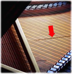 Control piano humidity to prevent damage to soundboard, tuning pins, pinblock, loose action screws, delaminate pinblock and bridge.